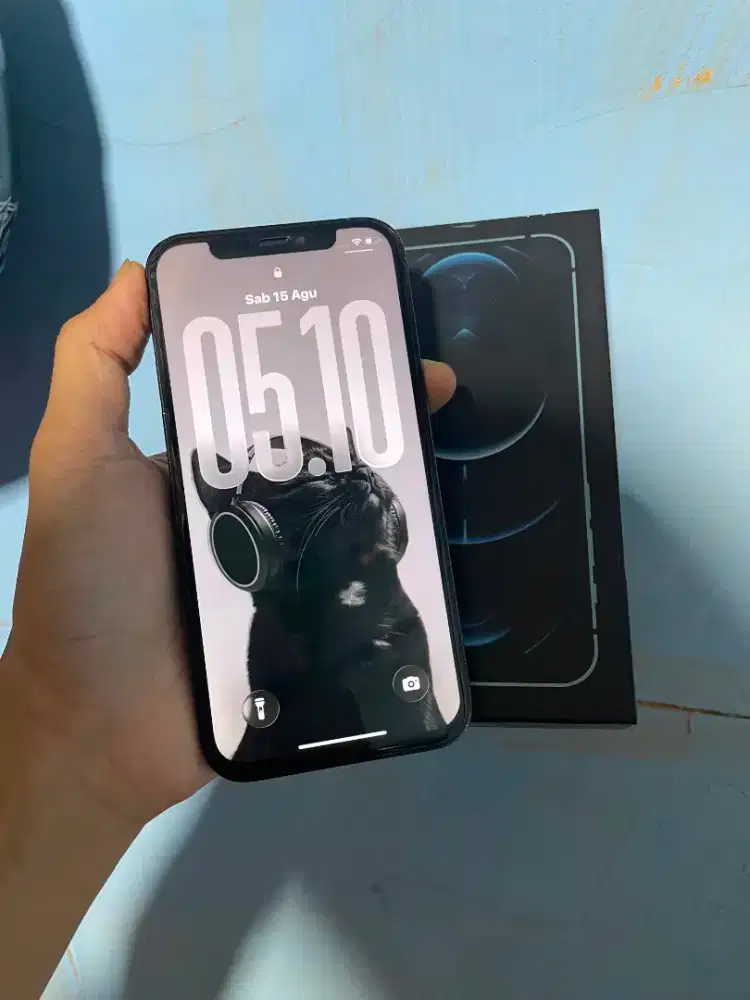 iPhone 12pro (256GB)