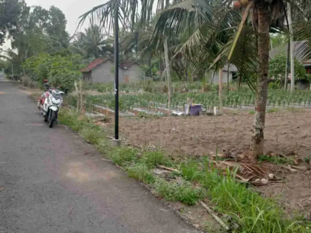 Tanah Dijual 1 Hektar dekat Bandara YIA