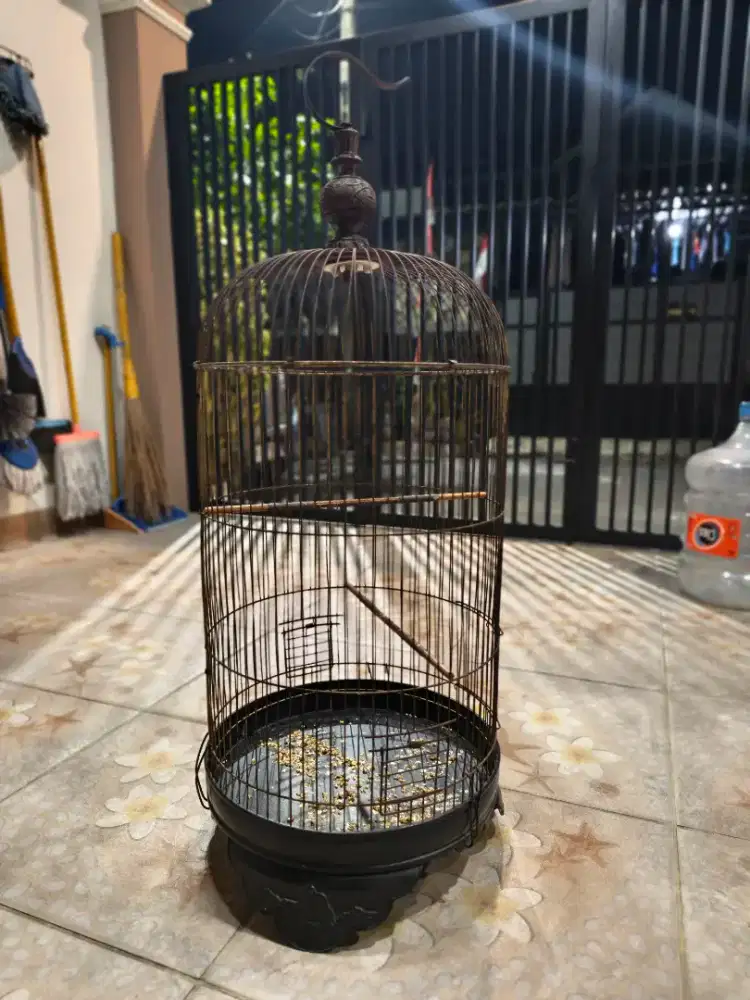 Dijual kandang burung lovebird