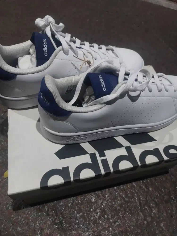 Sepatu Adidas Advantage