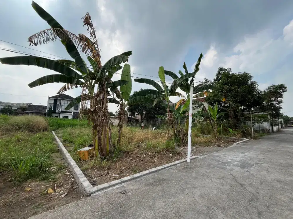 Tanah murah di gang cinderalas dekat patung elang maguwaharjo Sleman