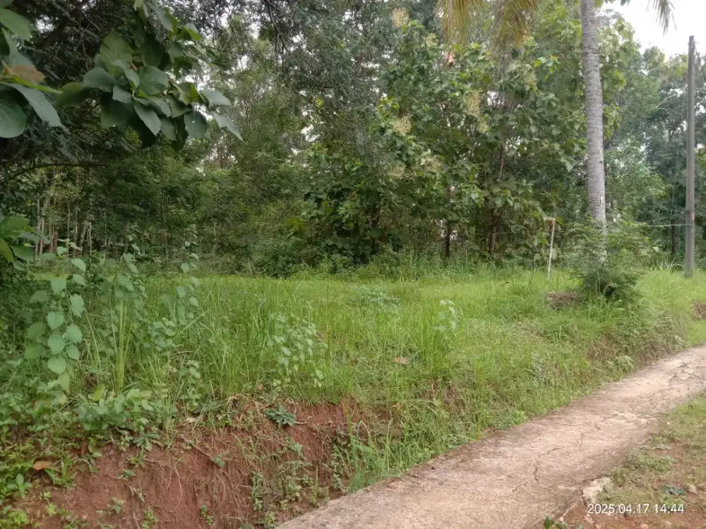 Tanah Pekarangan Kutowinangun 852m²