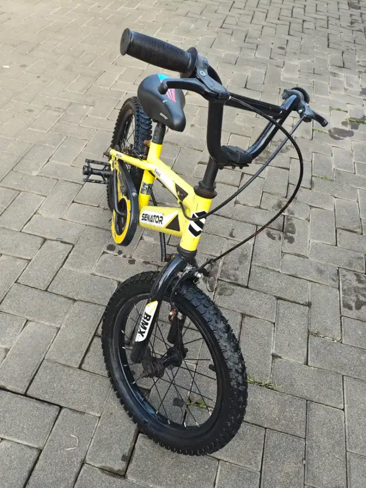 Sepeda Senator Xmax 16
