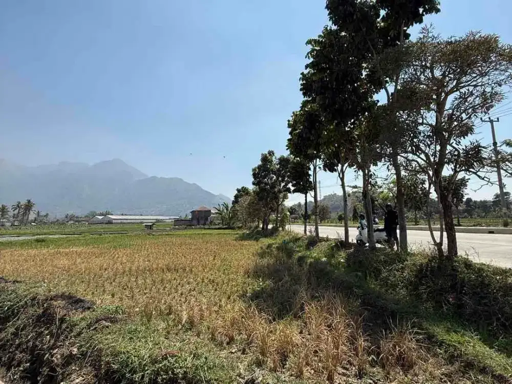 Jual Tanah di Jalan Baru Sigobing Tarogong Garut 360 Tumbak