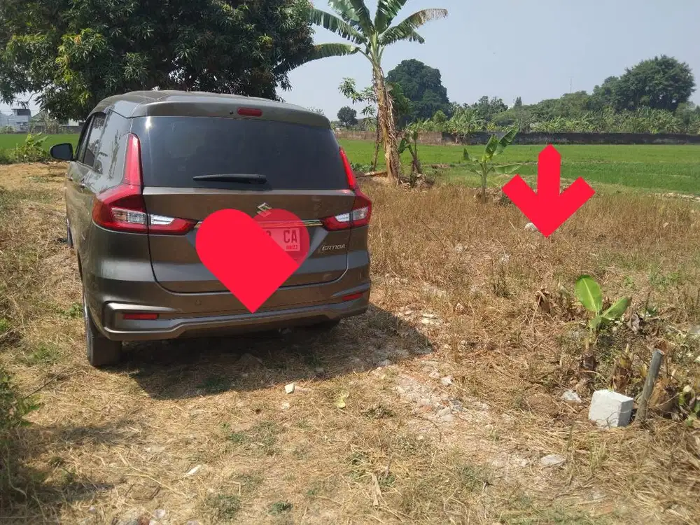 TANAH SHM PURI PATI JATENG,UTARA SMA 1 PATI LUAS 125,RP 150 JT