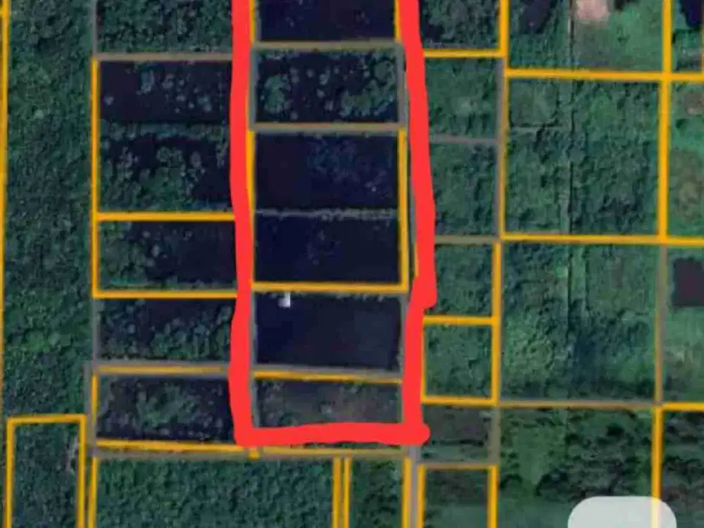 Jual Empang 3 Hektar di Kab.Sorong Jln.kontener
