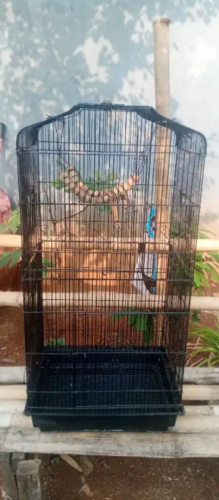 Kandang burung besi
