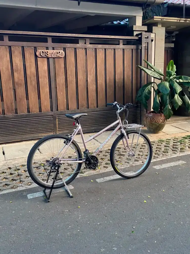 Comuterbike size 19 lady