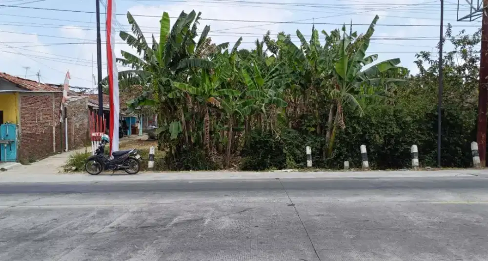 DIJUAL TANAH STRATEGIS ±39 UBIN – PINGGIR JALAN NASIONAL PATIKRAJA,