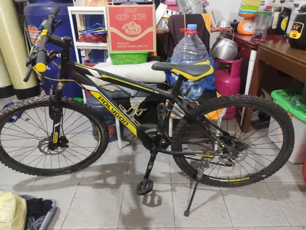 SEPEDA POLYGON M5