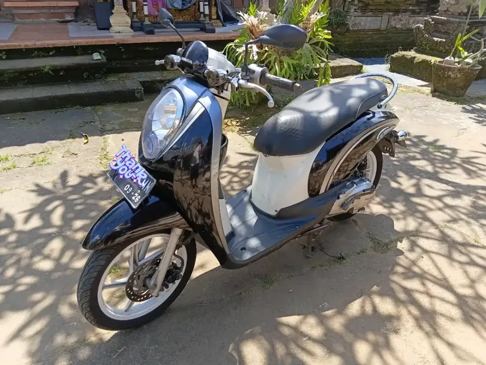Scoopy 2011 (karbu)