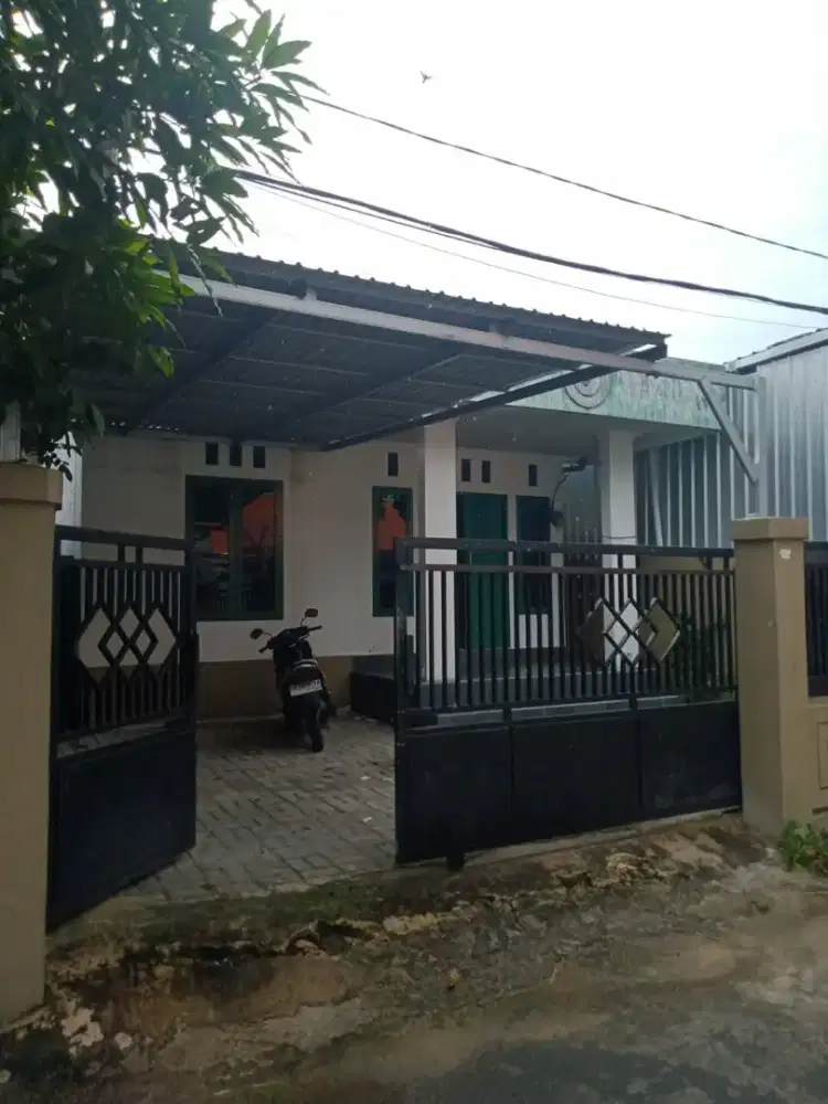 Disewakan atau dikontrakkan rumah Jl. Manggis / nangka No. 63 Bjmasin