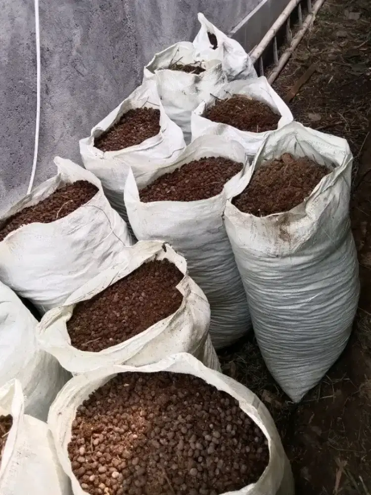 Pupuk tanaman kohe kambing manfaat luar biasa