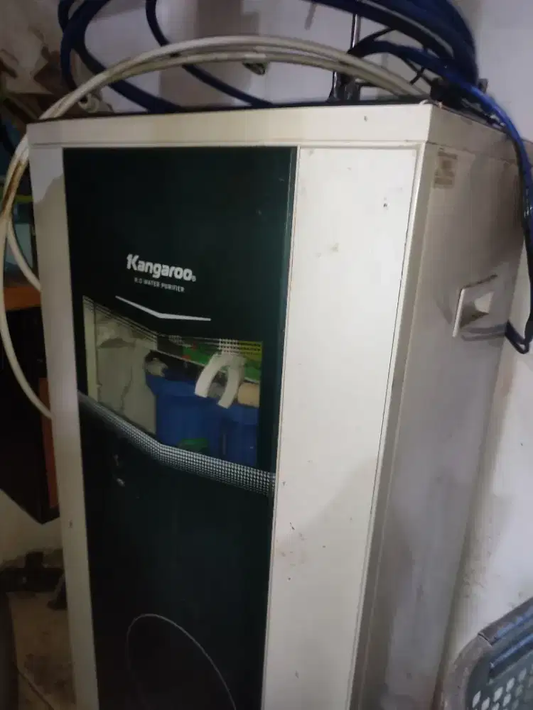 Kangaroo RO water purifier