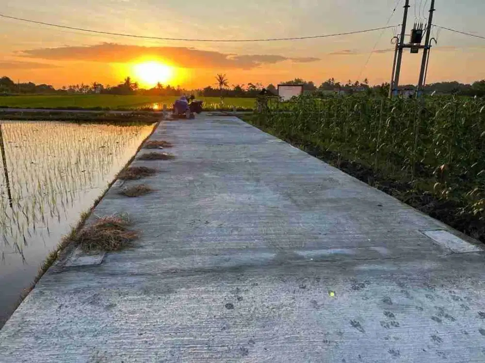 FOR SALE TANAH PREMIUM VIEW SAWAH 500m² DEKAT PANTAI KEDUNGU TABANAN BALI.