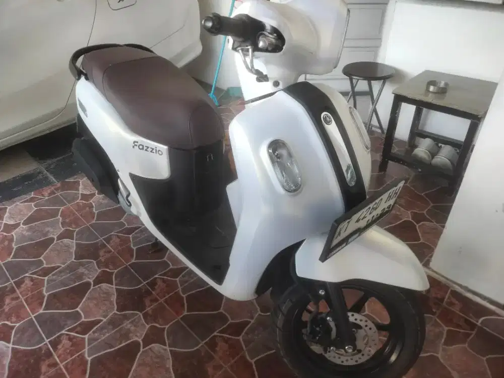 Fazzio lux 2024