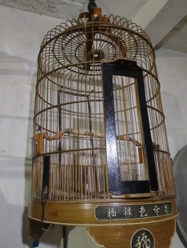 Sangkar Anis D 38