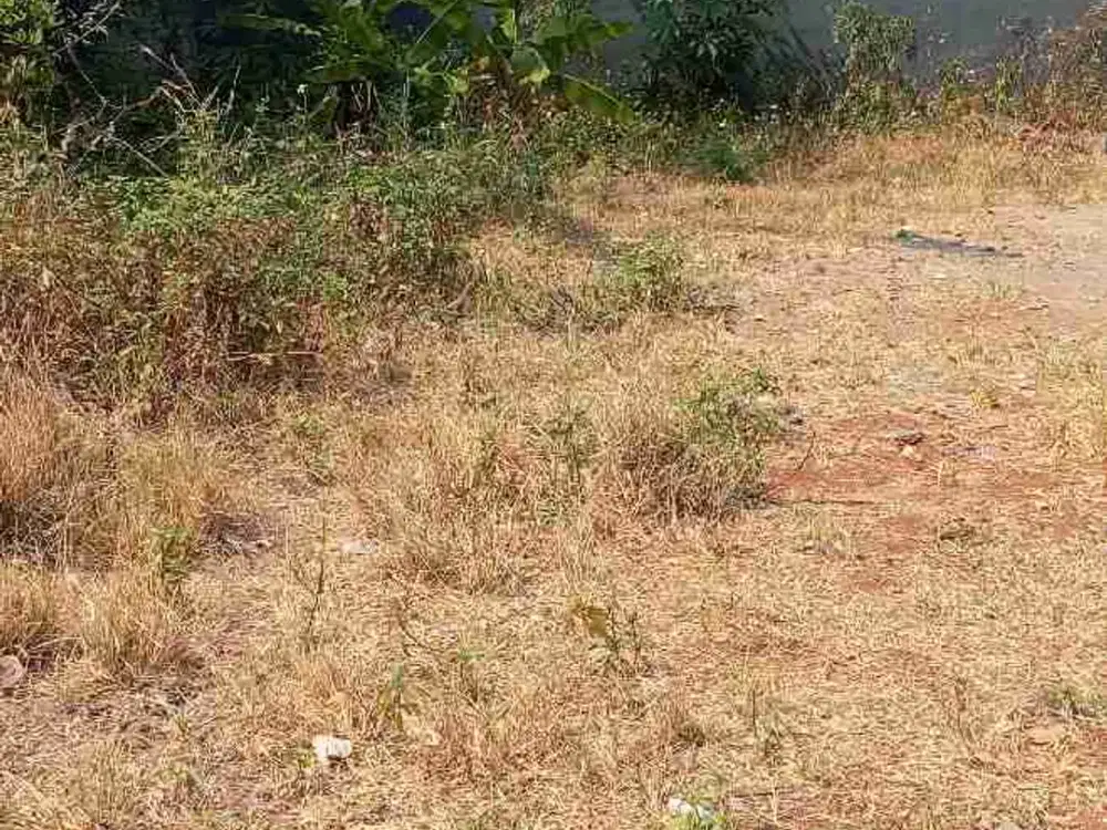 dijual tanah bagus kemang raya jakarta selatan