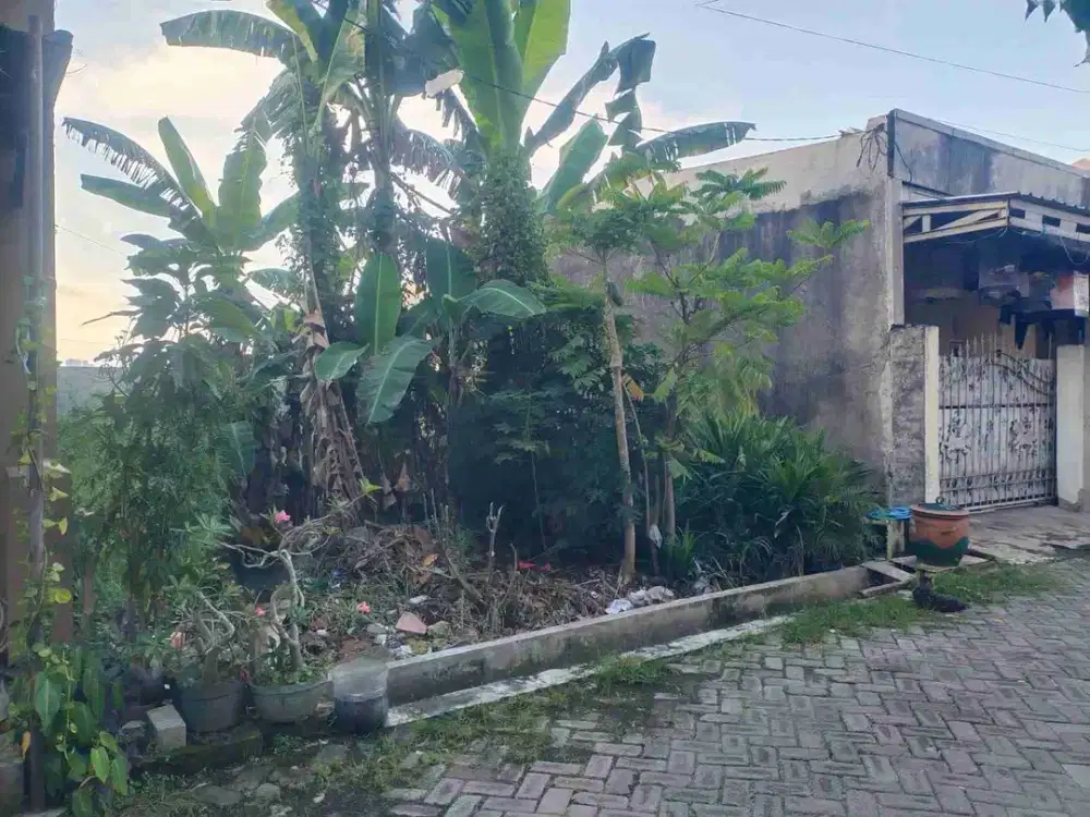 Tanah Murah siap Bangun di Perum Bumi Wonorejo Asri, Rungkut, Sby Timur