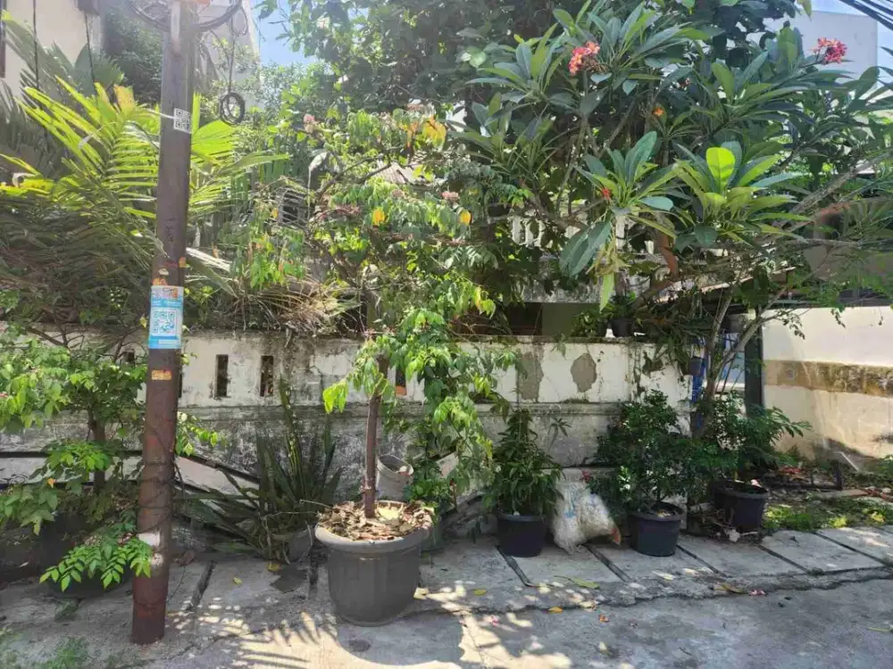 Rumah Standard, hitung harga tanah di komp. walikota kelapa gading jakarta utara