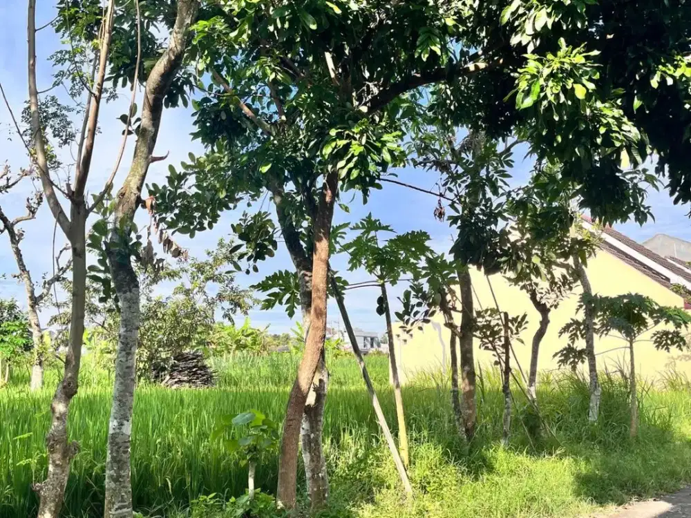 Dijual Murah Tanah Dalam Cluster Perumahan Area Gito Gati, Palagan