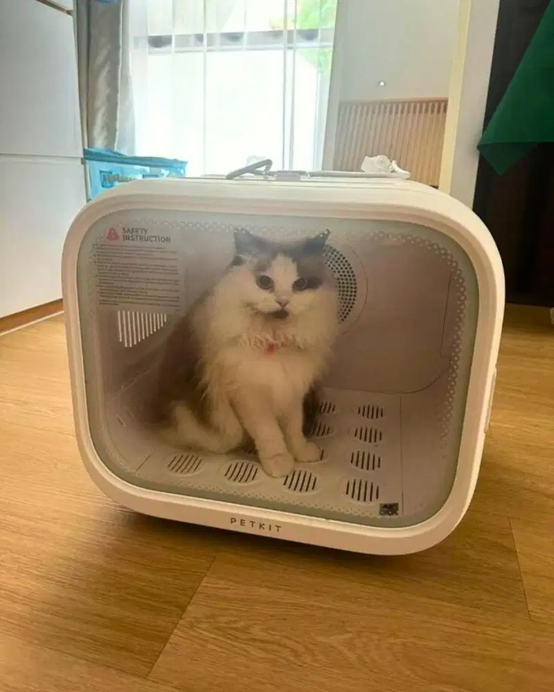 Petkit airsalon max automatic pet blower pengering