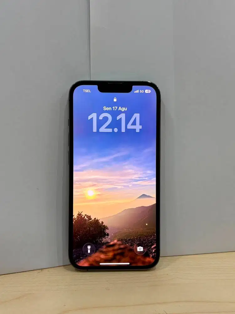 iPhone 13 Pro 1 TB (Graphite) Ex Inter LL/A - LIKE NEW
