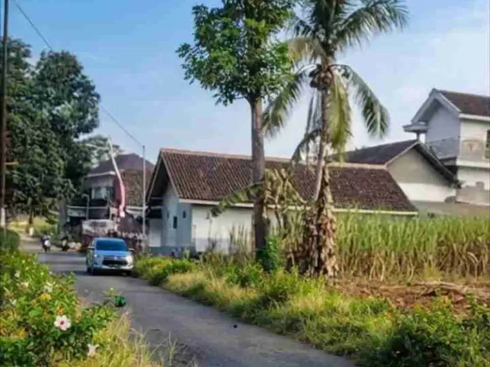 JUAL TANAH DEKAT PG REJOSO BINANGUN BLITAR