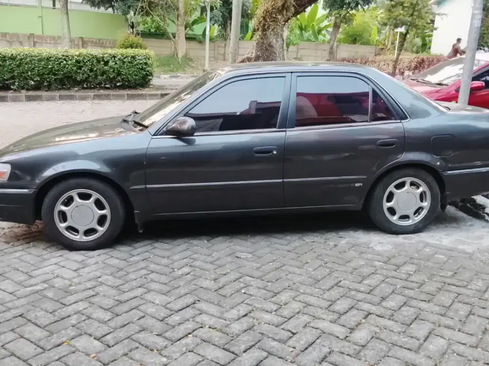 Great corolla mulus