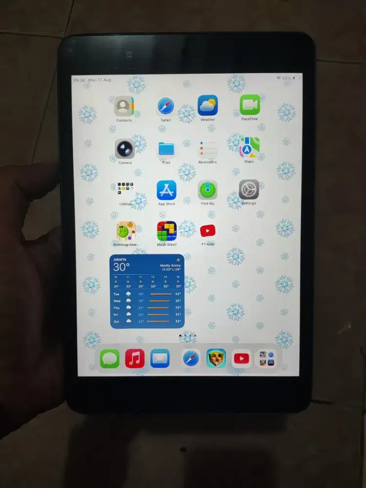 iPad Mini iPad Mini 5 256gb wifi