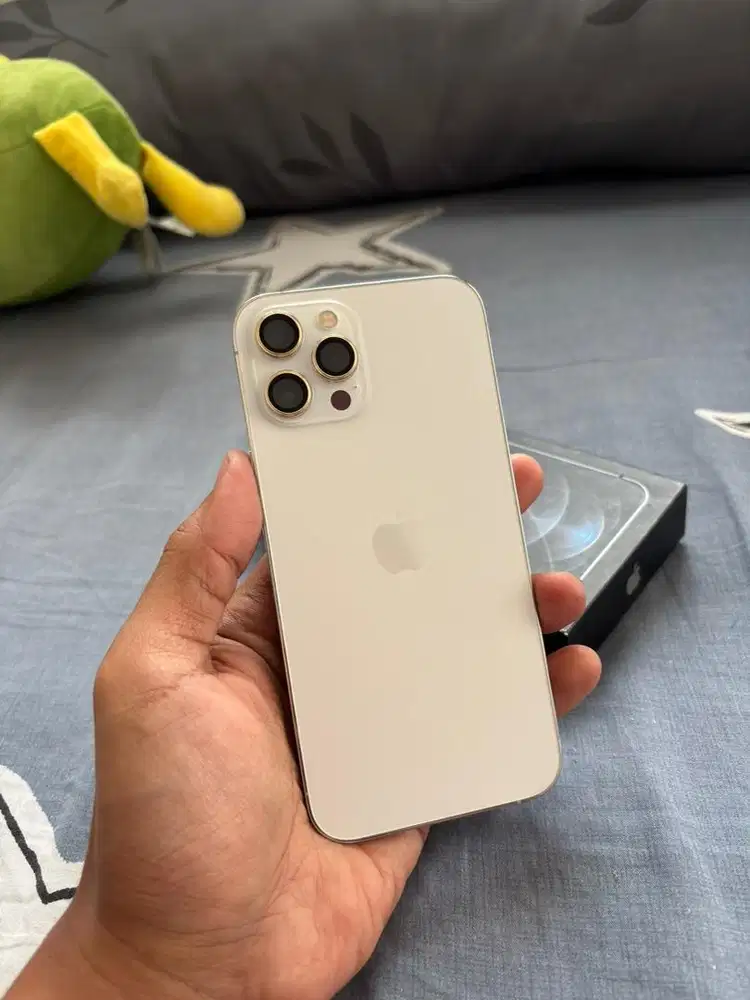 Iphone 12 PM Ibox TT/BT