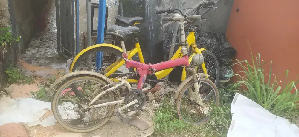 2 Buah Sepeda Ofo dan Aleoca