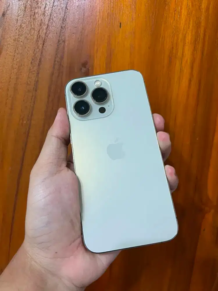 iPhone 13 Pro 256Gb Gold