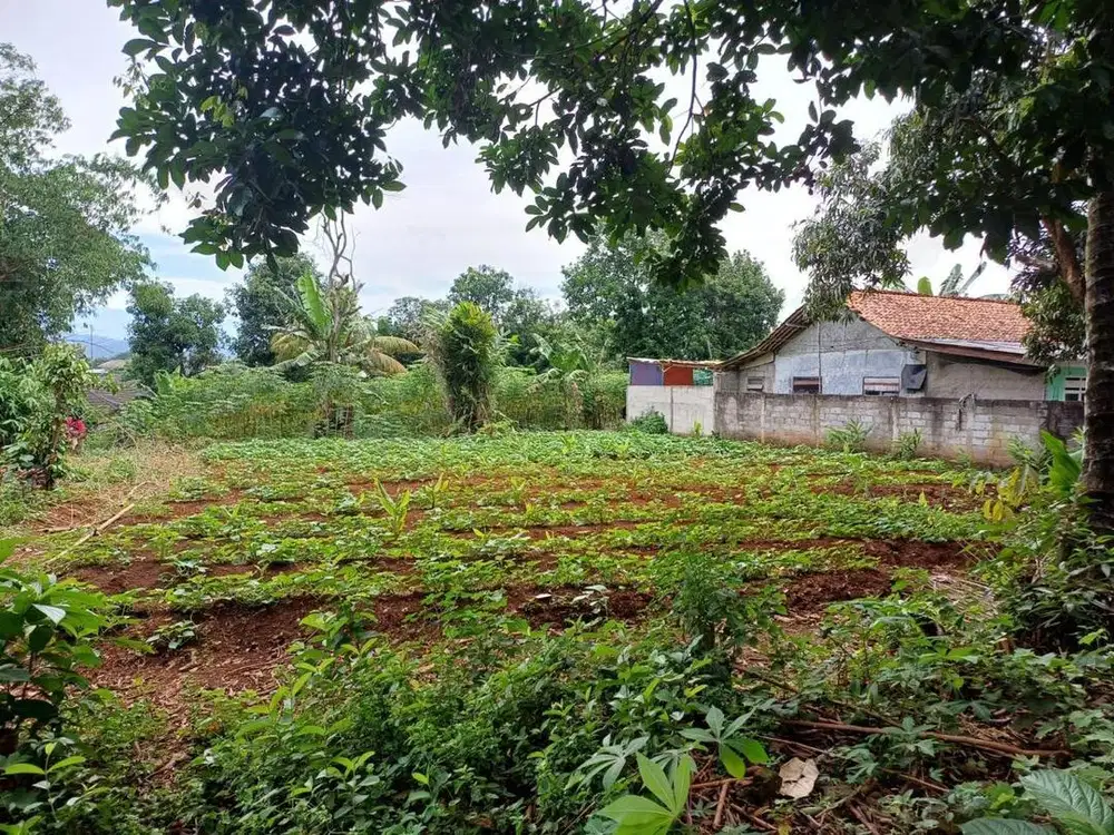Dijual tanah darat/kebun di Citra Indah Cileungsi