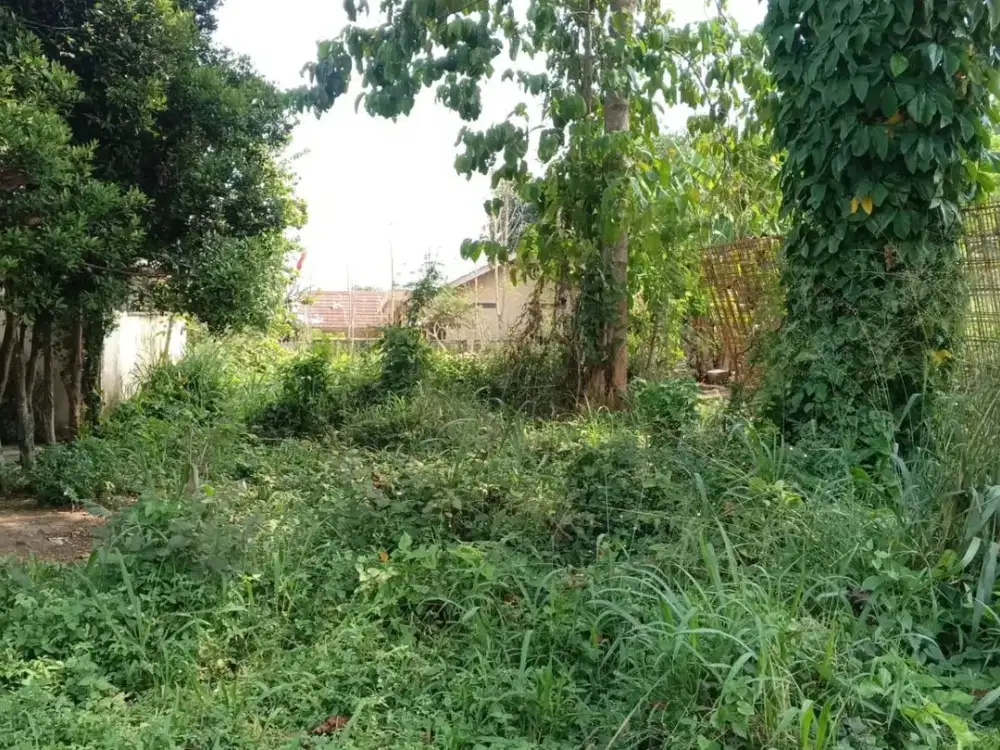 Tanah Hegarmanah 133 m², Amankan Pilihan Anda Sekarang!