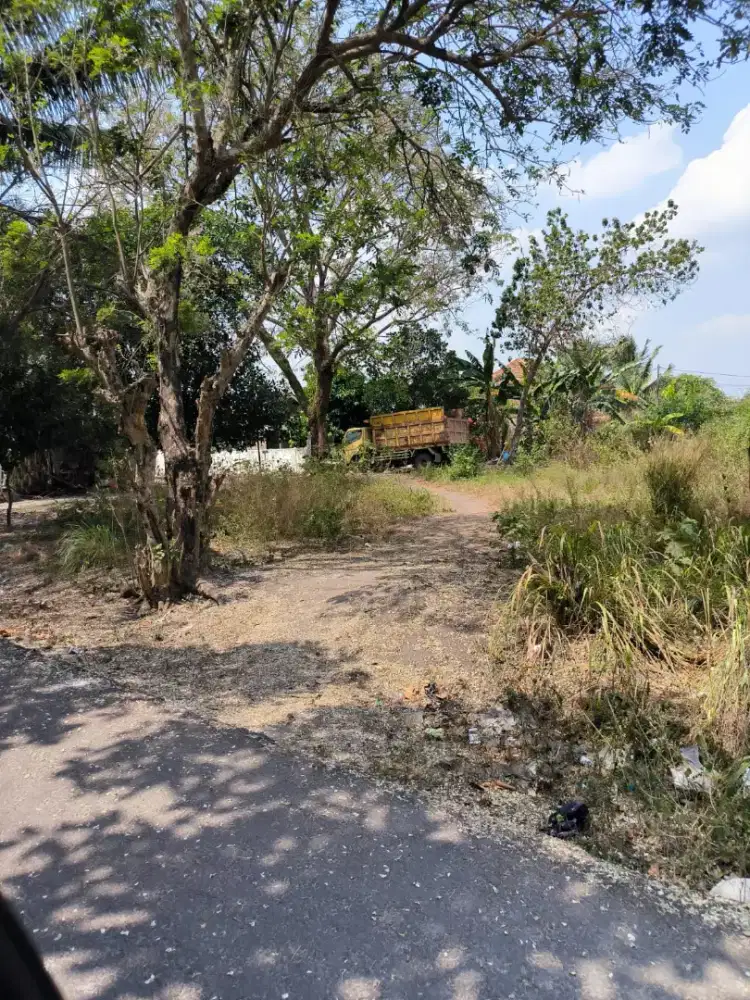 Di Jual Tanah Luas 2562 M2 SHM Di Indralaya Ogan Ilir SumSel