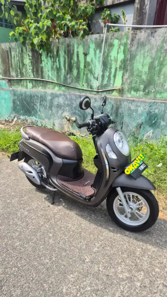 Scoopy Stylish 2023