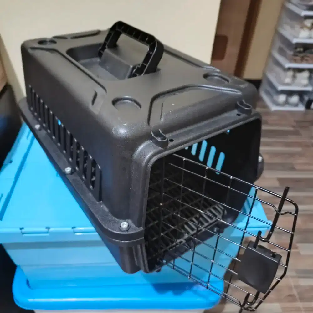 Petcargo ukuran kucing dewasa