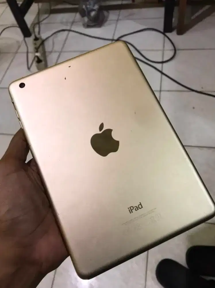 iPad Mini 3 Dan 1