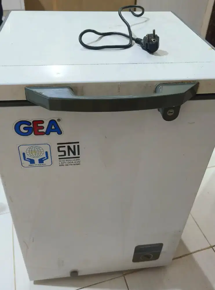 Freezer GEA Second1. 1