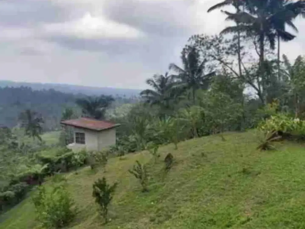 jual tanah bonus rumah.luaa tanah 7000m2(70 are).harga 45jtare/100m2
