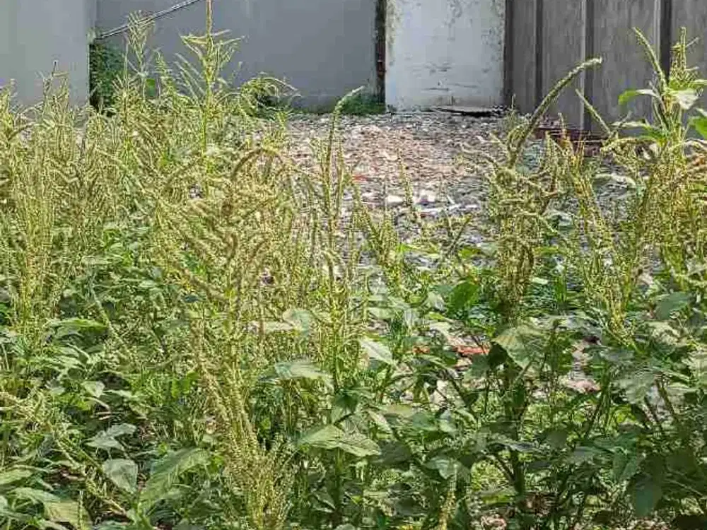 dijual tanah permata hijau jakarta selatan