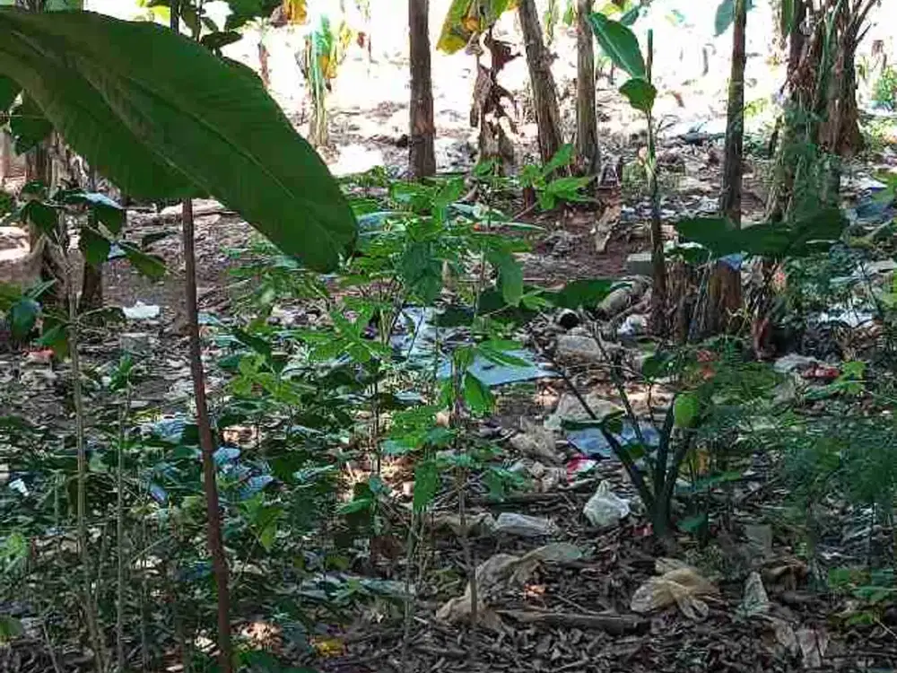 dijual tanah bagus bambu apus jakarta timur
