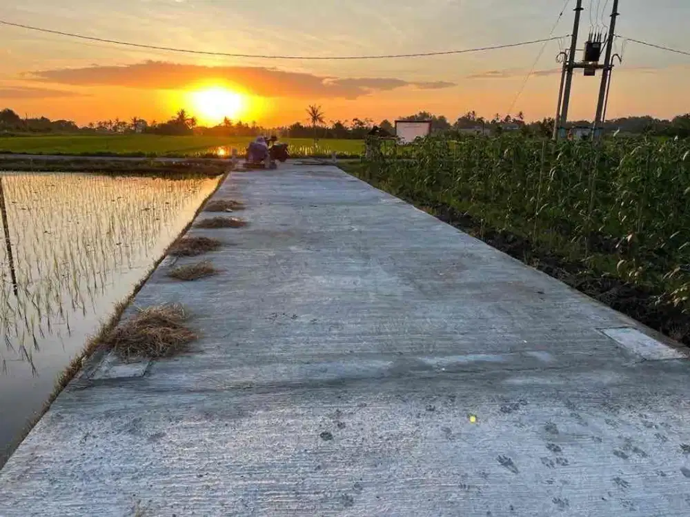 Tanah view sawah siap bangun cocok untuk villa sangat dekat dengan pantai kedungu.
