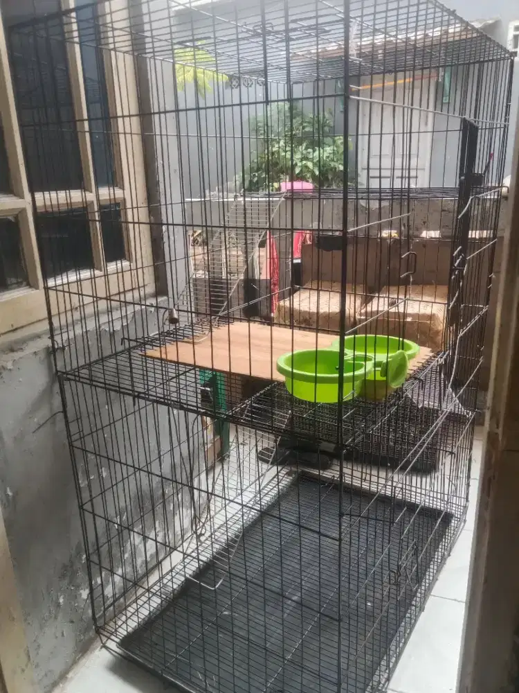 Kandang kucing tingkat jumbo