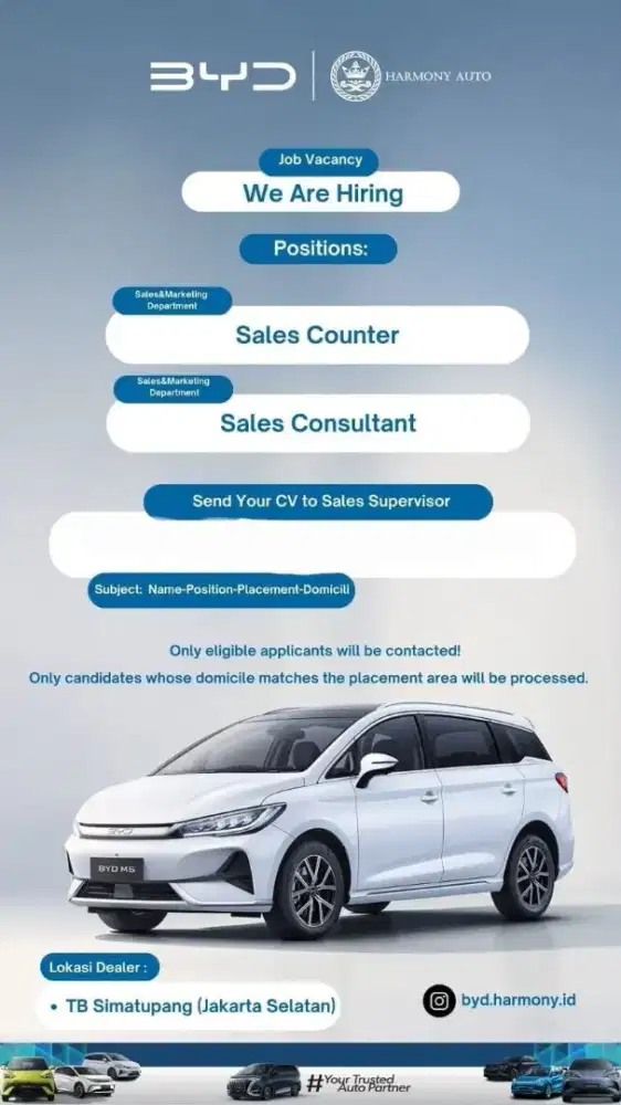 Sales Consultant BYD