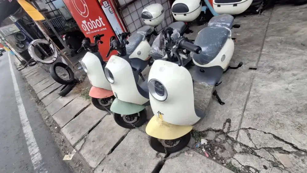 Jual sepeda listrik LUYUAN MODA 2
