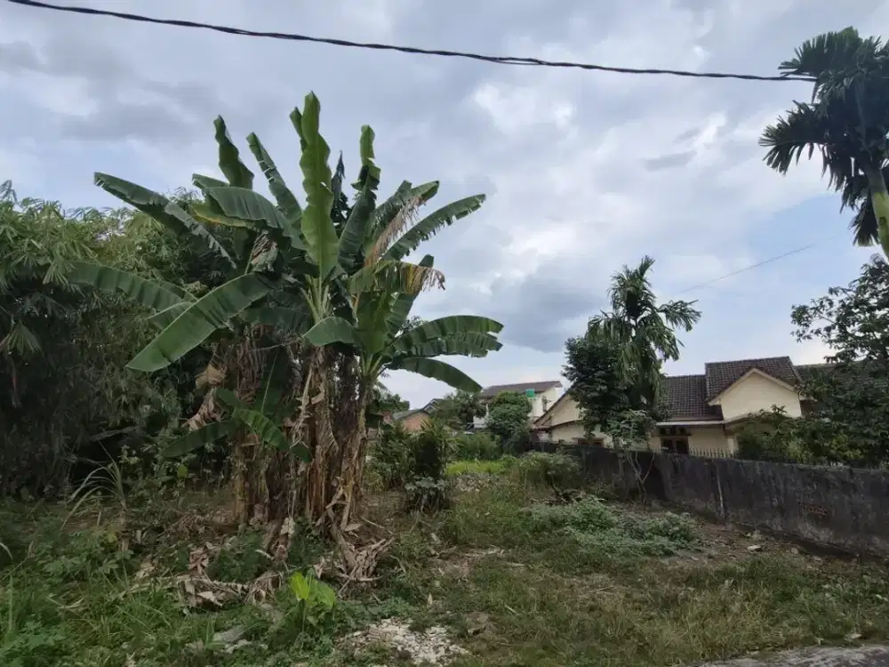 Dijual Lahan Siap bangun Jalan Kancil Putih Pulau Demang Lebar Daun Palembang
