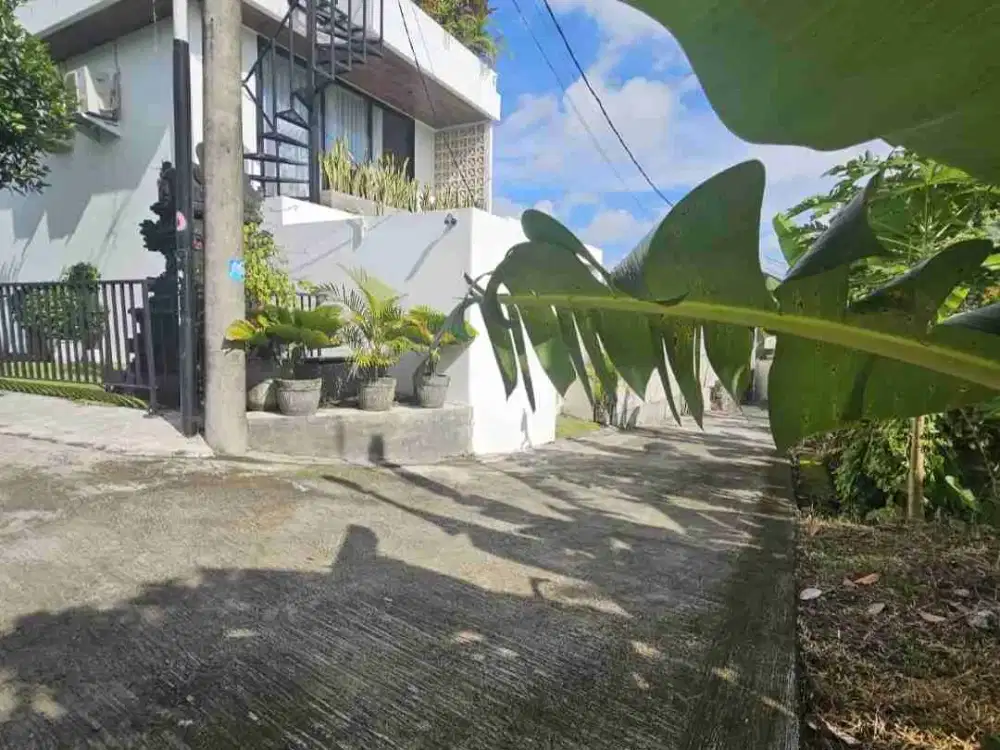 Tanah tumbak bayuh Mengwi bali