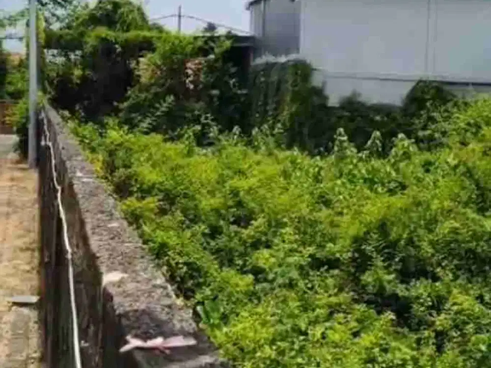 Tanah bumi ayu sanur bali